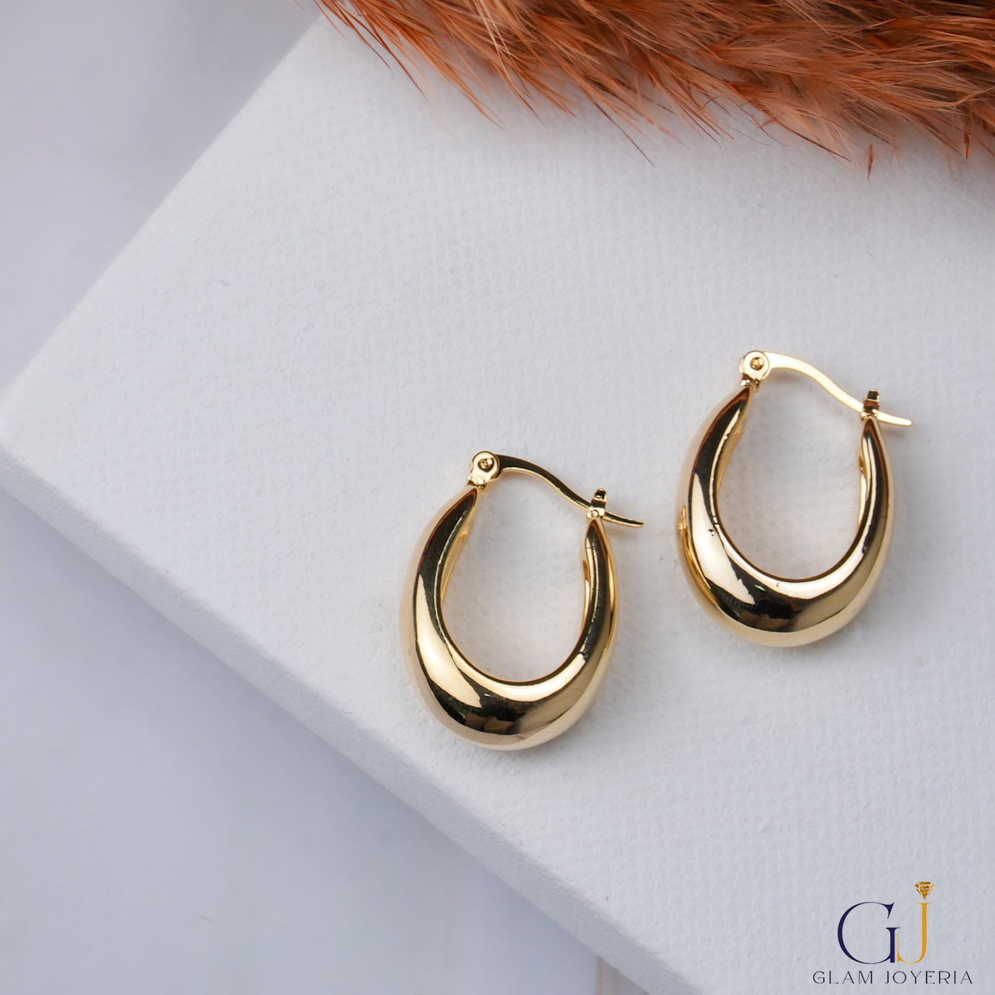 Tina Hoops